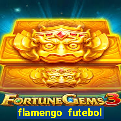 flamengo futebol play hd